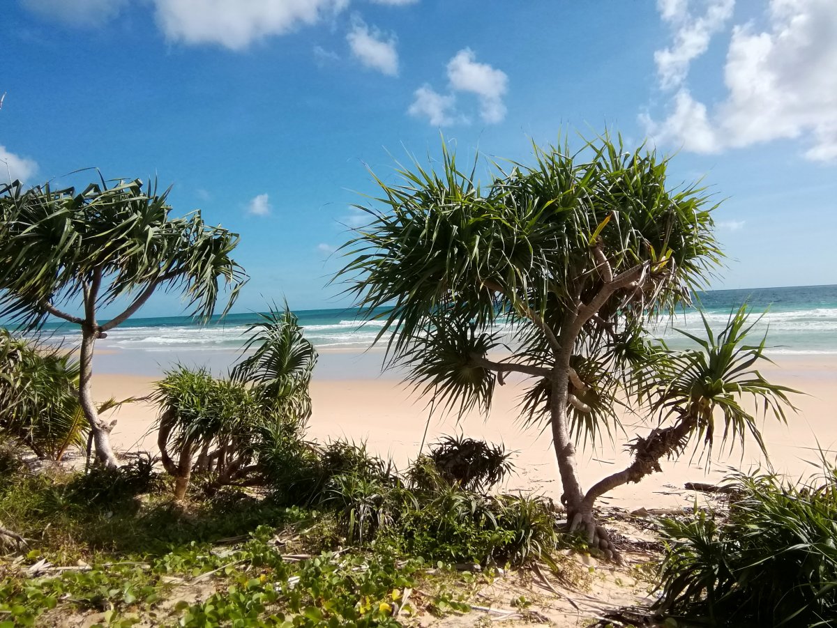 Lonely Beach