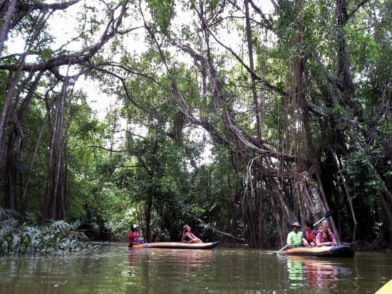 Kanu im "Little Amazon" Gebiet